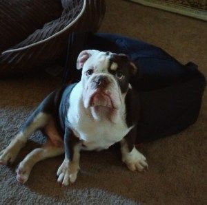 Meet your Posher, Shawn